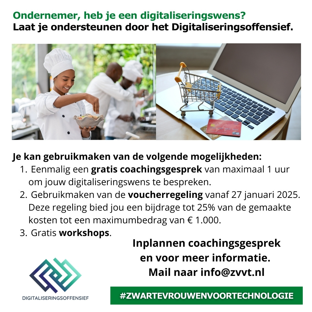 Digitaliserings offensive flyer