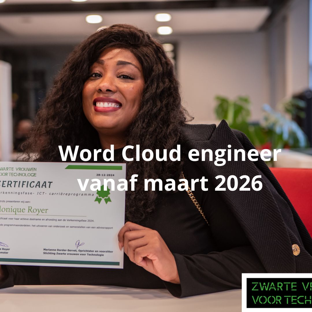 ICT carriereprogramma OmscholingBijscholing (2)