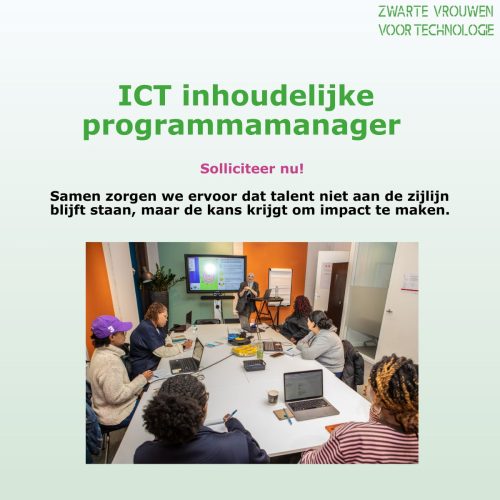 Vacature ICT programmamanager LinkedIn
